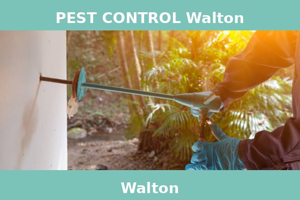 PEST CONTROL Walton